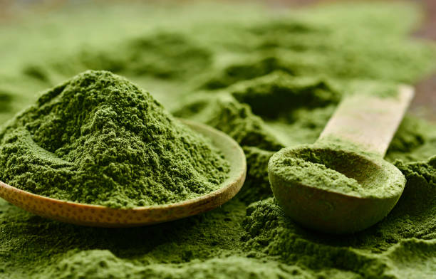 Chlorella vulgaris